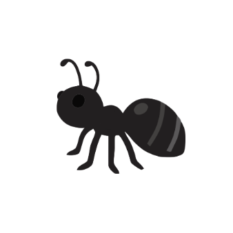 Ants