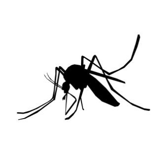Mosquitoes